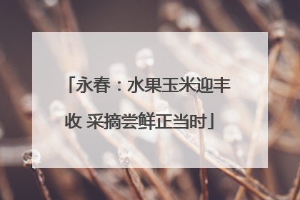 永春：水果玉米迎丰收 采摘尝鲜正当时