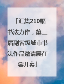 汇集210幅书法力作，第三届副省级城市书法作品邀请展在蓉开幕