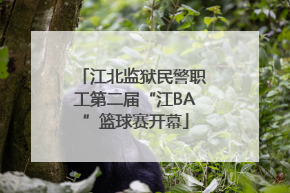 江北监狱民警职工第二届“江BA”篮球赛开幕