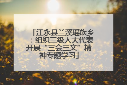 江永县兰溪瑶族乡：组织三级人大代表开展“三会三文”精神专题学习