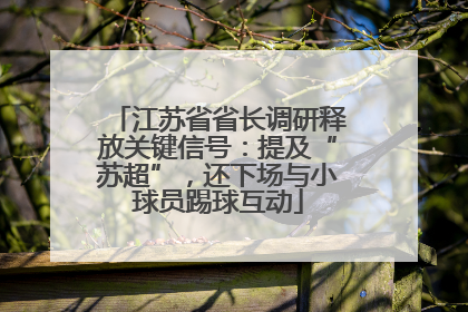 江苏省省长调研释放关键信号：提及“苏超”，还下场与小球员踢球互动