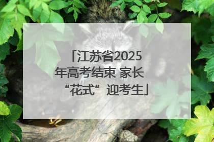 江苏省2025年高考结束 家长“花式”迎考生