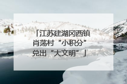 江苏建湖冈西镇肖荡村“小积分”兑出“大文明”