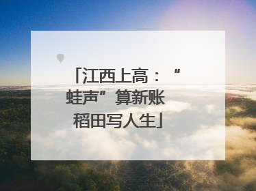 江西上高：“蛙声”算新账 稻田写人生