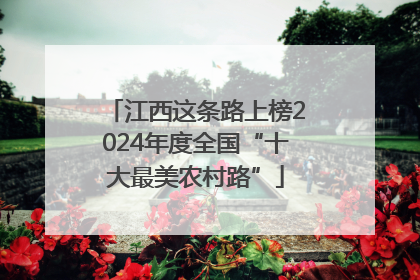 江西这条路上榜2024年度全国“十大最美农村路”