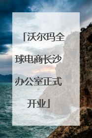 沃尔玛全球电商长沙办公室正式开业