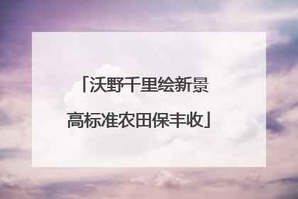 沃野千里绘新景 高标准农田保丰收