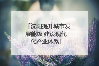 沈阳提升城市发展能级 建设现代化产业体系