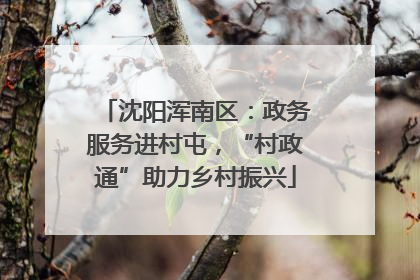 沈阳浑南区：政务服务进村屯，“村政通”助力乡村振兴