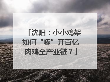 沈阳：小小鸡架如何“啄”开百亿肉鸡全产业链？