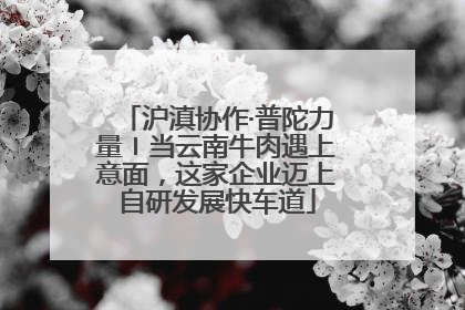沪滇协作·普陀力量〡当云南牛肉遇上意面，这家企业迈上自研发展快车道