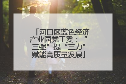 河口区蓝色经济产业园党工委：“三强”提“三力”赋能高质量发展
