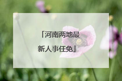 河南两地最新人事任免