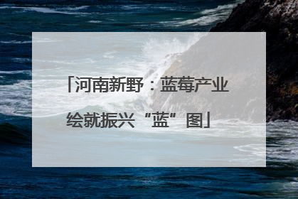 河南新野：蓝莓产业绘就振兴“蓝”图