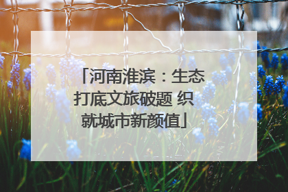 河南淮滨：生态打底文旅破题 织就城市新颜值