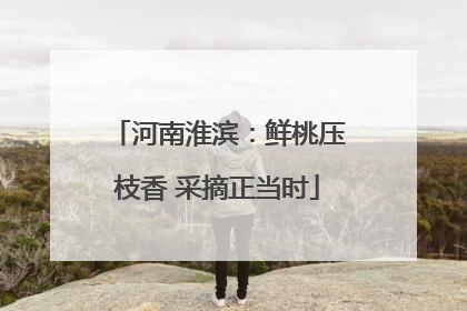 河南淮滨：鲜桃压枝香 采摘正当时