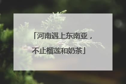 河南遇上东南亚，不止榴莲和奶茶