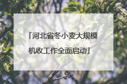 河北省冬小麦大规模机收工作全面启动