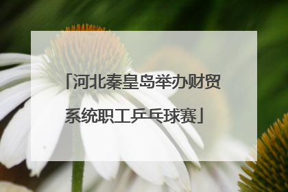 河北秦皇岛举办财贸系统职工乒乓球赛