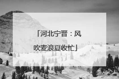 河北宁晋：风吹麦浪夏收忙