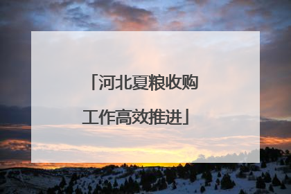 河北夏粮收购工作高效推进