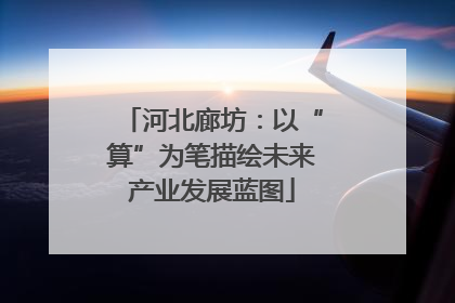 河北廊坊：以“算”为笔描绘未来产业发展蓝图