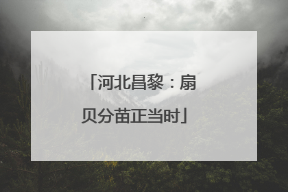 河北昌黎：扇贝分苗正当时