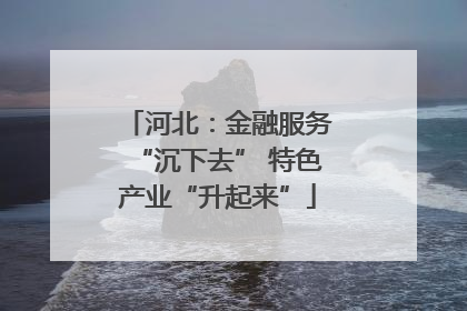 河北：金融服务“沉下去” 特色产业“升起来”