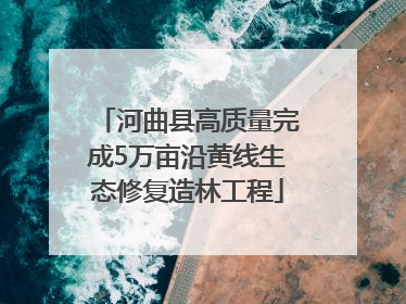 河曲县高质量完成5万亩沿黄线生态修复造林工程