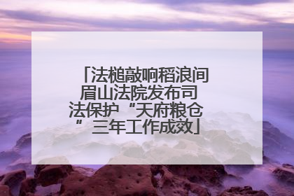 法槌敲响稻浪间 眉山法院发布司法保护“天府粮仓”三年工作成效