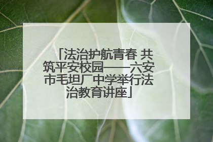 法治护航青春 共筑平安校园——六安市毛坦厂中学举行法治教育讲座