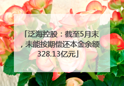 泛海控股：截至5月末，未能按期偿还本金余额328.13亿元