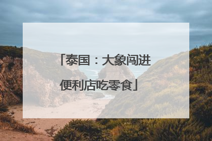 泰国：大象闯进便利店吃零食