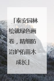 泰安园林绘就绿色画卷，精细防治护佑苗木成长