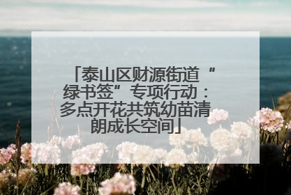 泰山区财源街道“绿书签”专项行动：多点开花共筑幼苗清朗成长空间