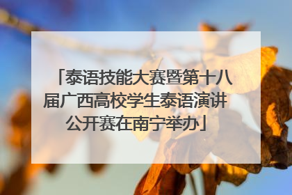泰语技能大赛暨第十八届广西高校学生泰语演讲公开赛在南宁举办