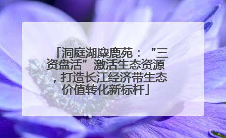 洞庭湖麋鹿苑：“三资盘活”激活生态资源，打造长江经济带生态价值转化新标杆