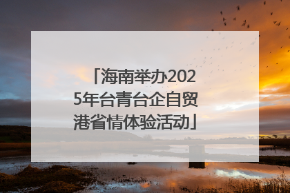 海南举办2025年台青台企自贸港省情体验活动