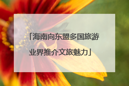 海南向东盟多国旅游业界推介文旅魅力