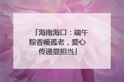海南海口：端午粽香暖孤老，爱心传递显担当