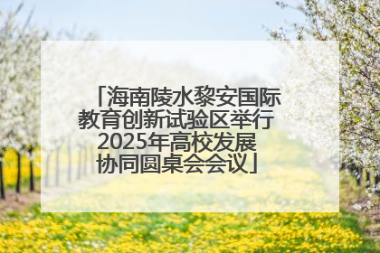 海南陵水黎安国际教育创新试验区举行2025年高校发展协同圆桌会会议