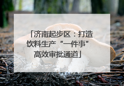 济南起步区：打造饮料生产“一件事”高效审批通道