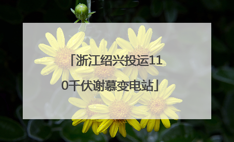 浙江绍兴投运110千伏谢慕变电站