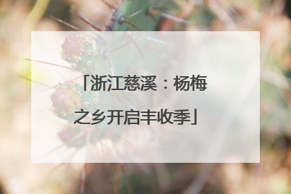 浙江慈溪：杨梅之乡开启丰收季