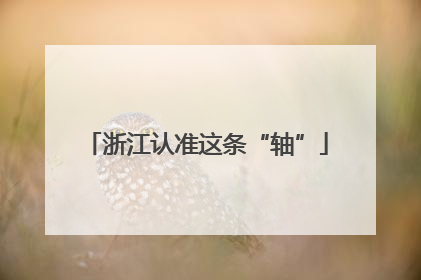 浙江认准这条“轴”