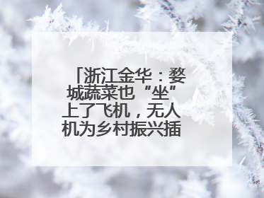 浙江金华：婺城蔬菜也“坐”上了飞机，无人机为乡村振兴插上“翅膀”