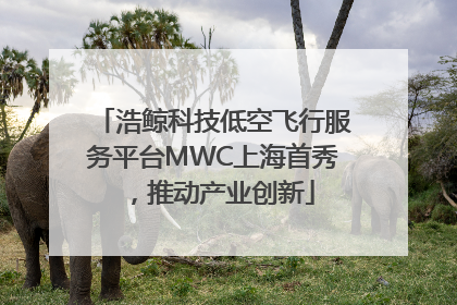 浩鲸科技低空飞行服务平台MWC上海首秀，推动产业创新