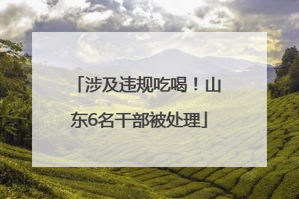 涉及违规吃喝！山东6名干部被处理