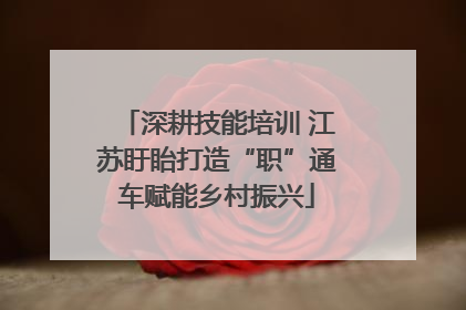 深耕技能培训 江苏盱眙打造“职”通车赋能乡村振兴