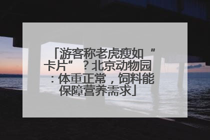 游客称老虎瘦如“卡片”？北京动物园：体重正常，饲料能保障营养需求